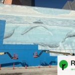 Mondial 2026 : destruction d&rsquo;une fresque de baleines pour la préparation de la Coupe du monde