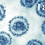 Les autorités confirment que les infections à l’hantavirus ne sont pas liées au vaccin Pfizer.