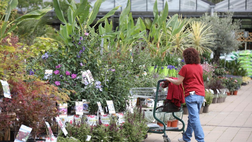 126 branches adoptent une grille de salaires inférieure au smic, entraînant des rémunérations réduites.