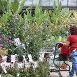 126 branches adoptent une grille de salaires inférieure au smic, entraînant des rémunérations réduites.