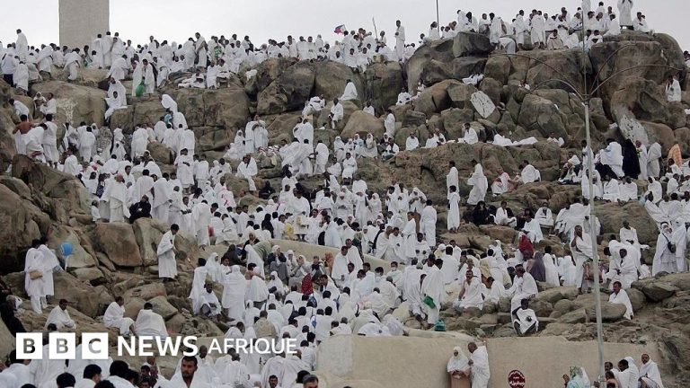 Le jour d’Arafat : signification et pratiques pour les musulmans à travers le monde.