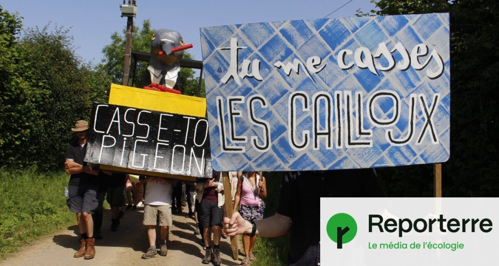 Des actions contre le béton organisées en France, incluant balades naturalistes et occupations.