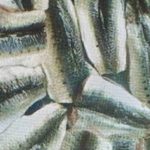 FILETS DE SARDINE VRAC
