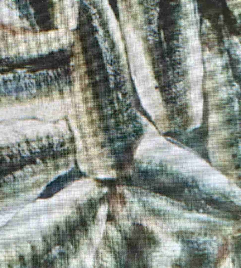 FILETS DE SARDINE VRAC