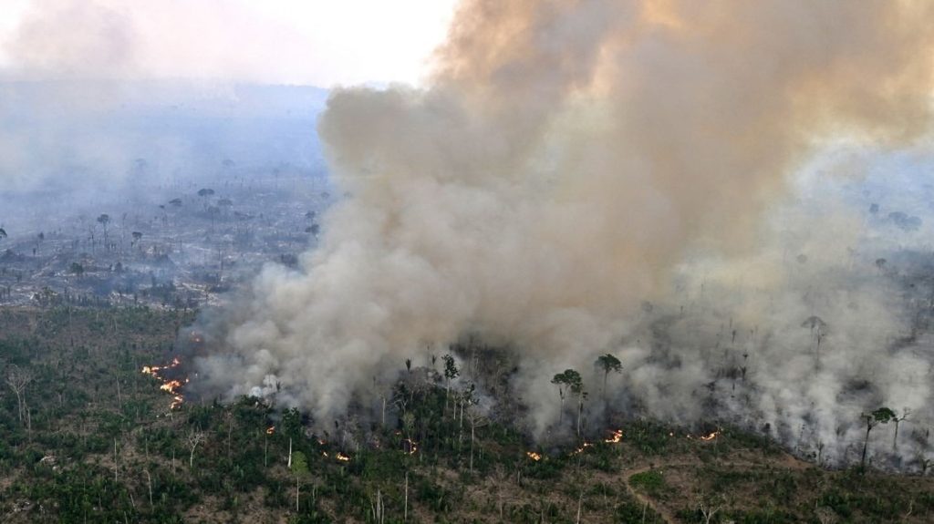Près de deux tiers de la forêt amazonienne menacés de transformation en savane sèche, selon une étude.