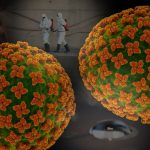 Hantavirus : des laboratoires avancent sur le développement d&rsquo;un vaccin.