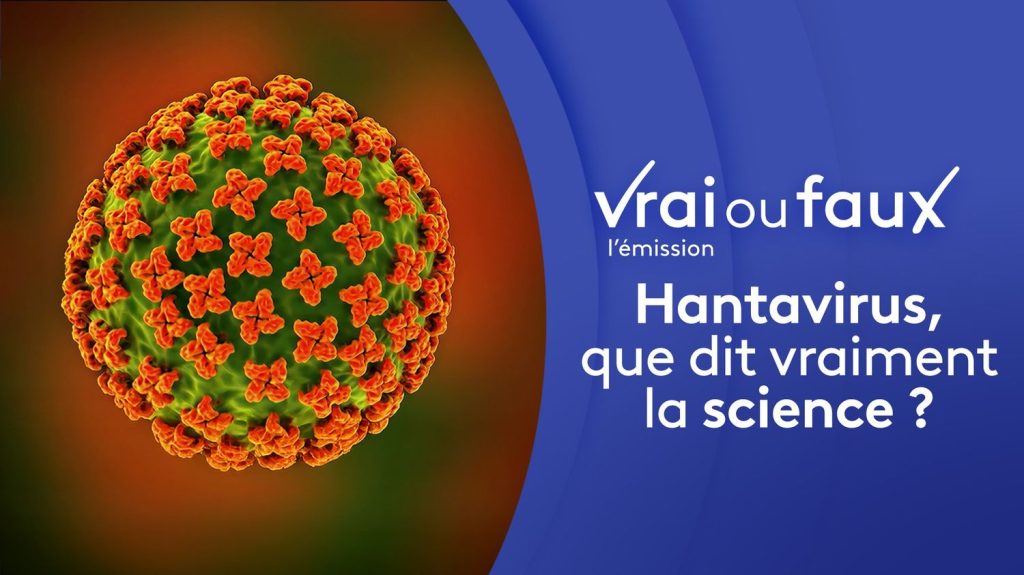 Hantavirus : analyse des risques sanitaires par les chercheurs en santé publique.