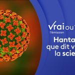 Hantavirus : analyse des risques sanitaires par les chercheurs en santé publique.