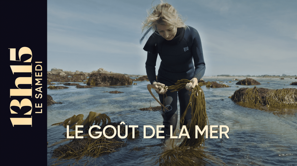 13h15 le samedi : Franceinfo présente ‘Le goût de la mer’ sur la culture maritime