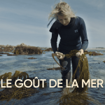 13h15 le samedi : Franceinfo présente ‘Le goût de la mer’ sur la culture maritime