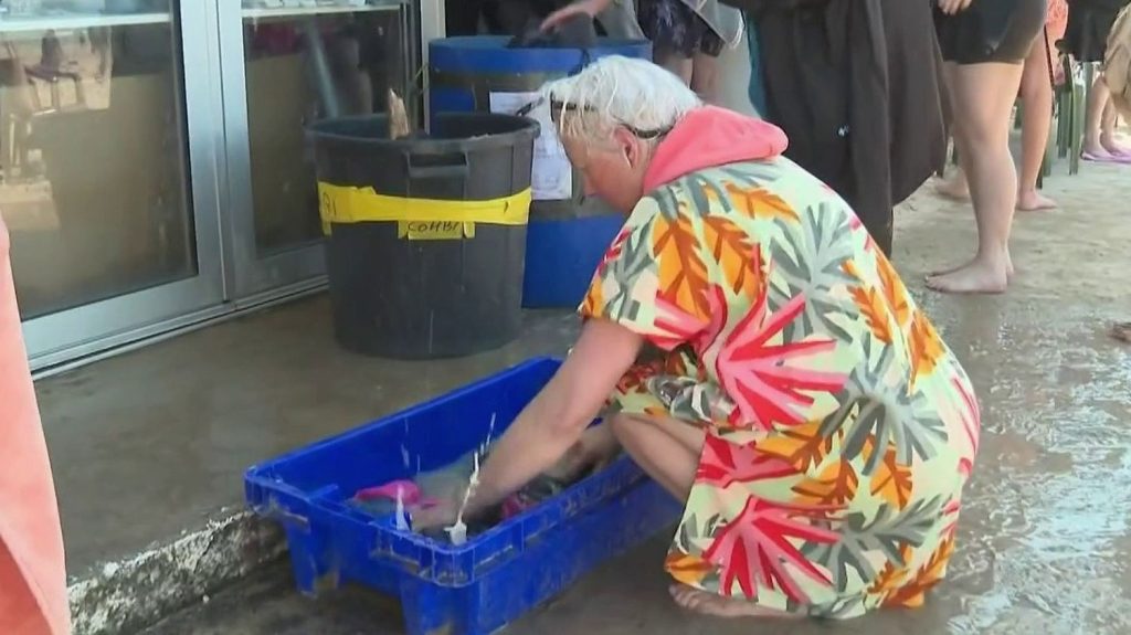 Dôme de chaleur en France : des températures proches de 40 degrés attendues prochainement.
