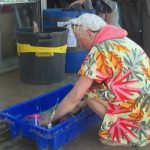 Dôme de chaleur en France : des températures proches de 40 degrés attendues prochainement.
