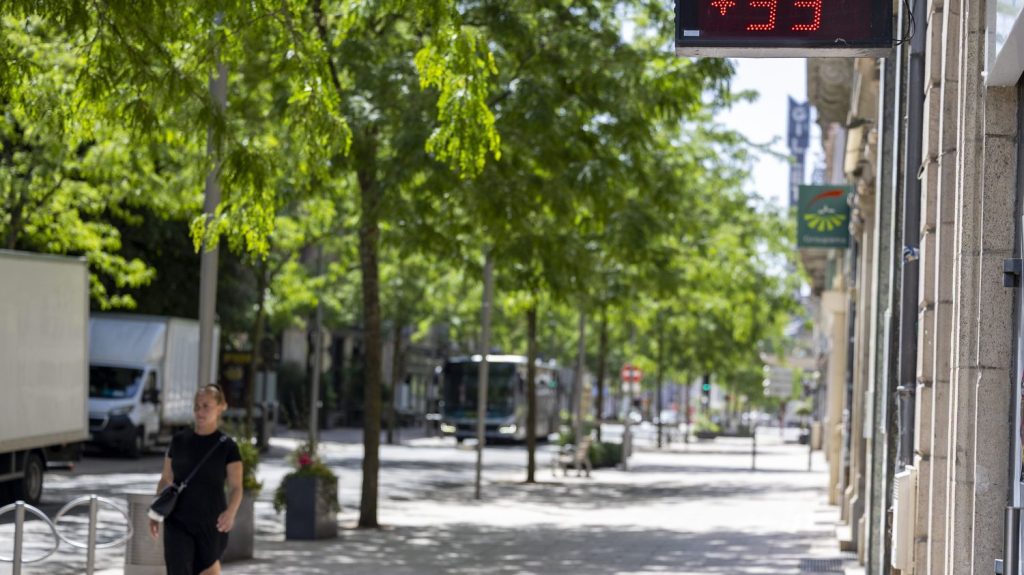 Vague de chaleur en France : des températures critiques pour les oisillons sortant du nid
