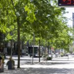 Vague de chaleur en France : des températures critiques pour les oisillons sortant du nid