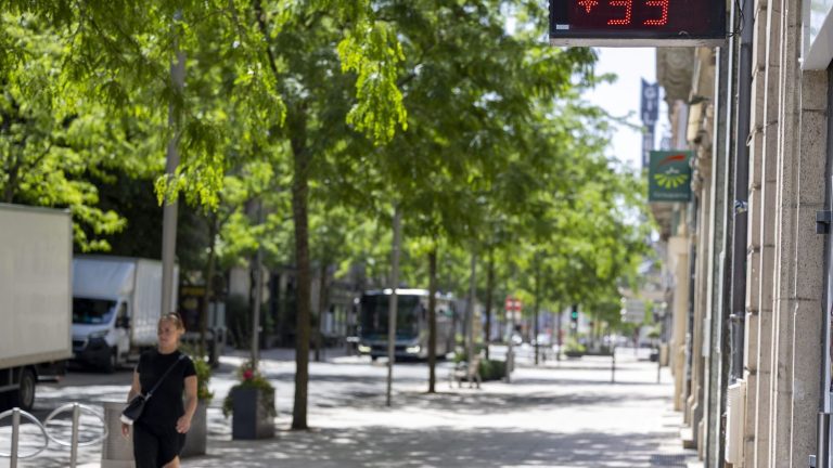 Vague de chaleur en France : des températures critiques pour les oisillons sortant du nid