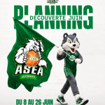 Planning découverte : Asea organise des activités de basket à Quimper, Ergué-Armel, Halle des Sports.
