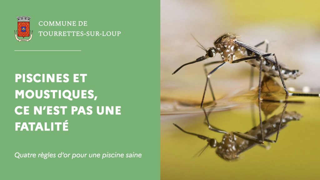 Prévenir la prolifération des moustiques dans les piscines : recommandations sanitaires en France