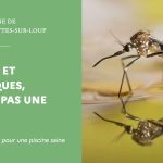 Prévenir la prolifération des moustiques dans les piscines : recommandations sanitaires en France
