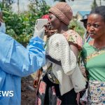 Ebola et conflit en RDC : l&rsquo;OMS alerte sur une collision catastrophique des crises.