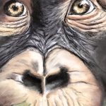 Peintures exposées par des artistes contemporains lors d&rsquo;un événement culturel majeur.