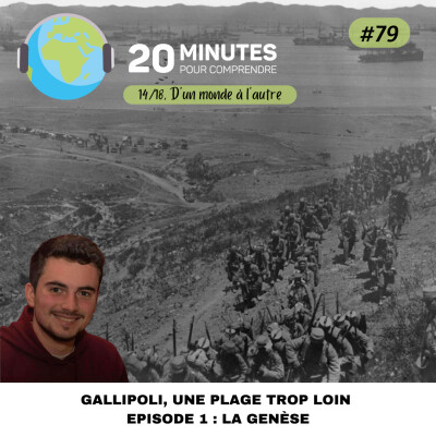 Gallipoli en 1915 : enjeux militaires et pertes humaines pour les Alliés durant la Première Guerre mondiale