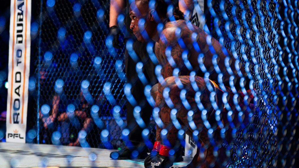 MMA : un combattant abandonne après un coup de tête de son adversaire