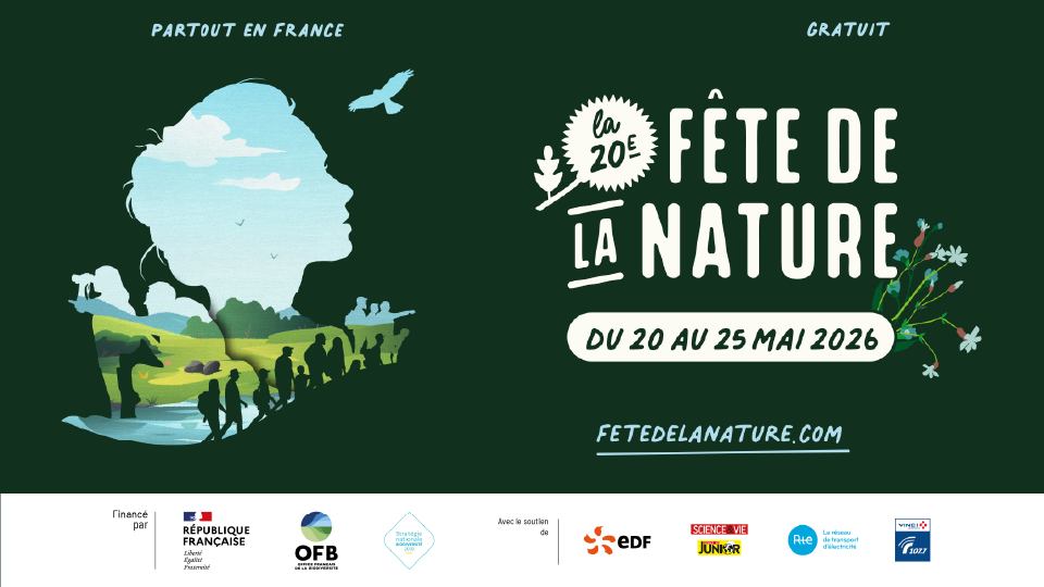 Fête de la Nature : cinq jours d’activités pour sensibiliser à la biodiversité en France.