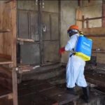 Épidémie d&rsquo;Ebola en RD Congo : augmentation rapide des cas signalés par les autorités sanitaires.