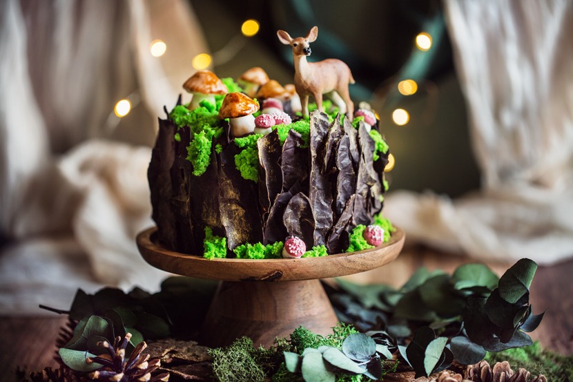 Forest Layer Cake : une vidéo explore les implications environnementales en Europe