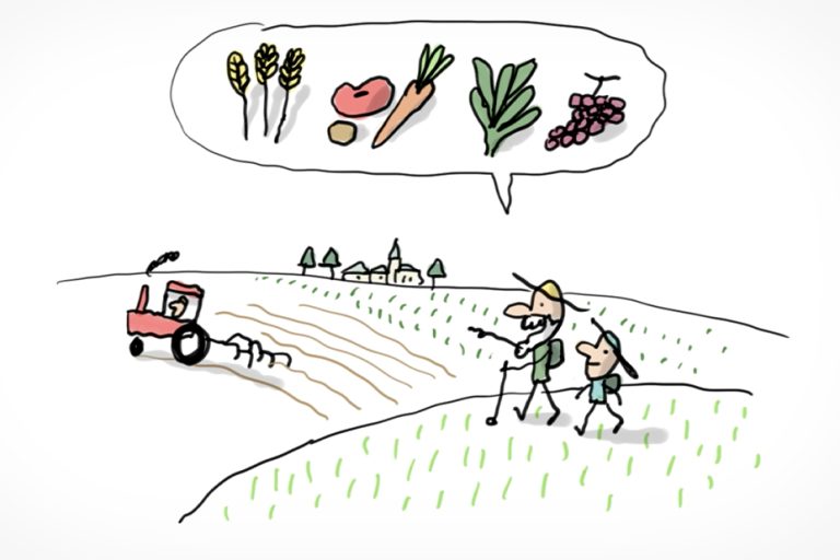 Le métier d’agriculteur : enjeux et défis dans le secteur agricole contemporain