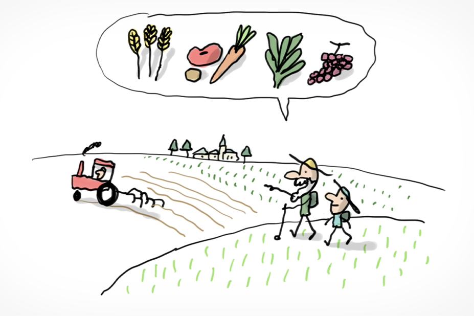 Le métier d’agriculteur : enjeux et défis dans le secteur agricole contemporain