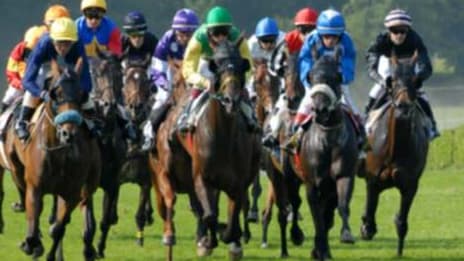 Pronostics hippiques pour les courses de mercredi : enjeux et chevaux à suivre