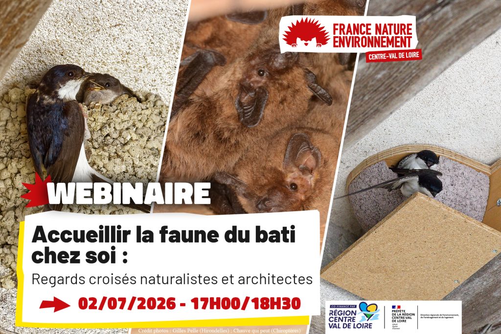 Webinaire sur l’intégration de la biodiversité dans les espaces de vie domestiques.