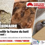 Webinaire sur l&rsquo;intégration de la biodiversité dans les espaces de vie domestiques.