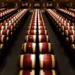 Bordeaux primeurs 2023 : les volumes de production en baisse selon le syndicat viticole local