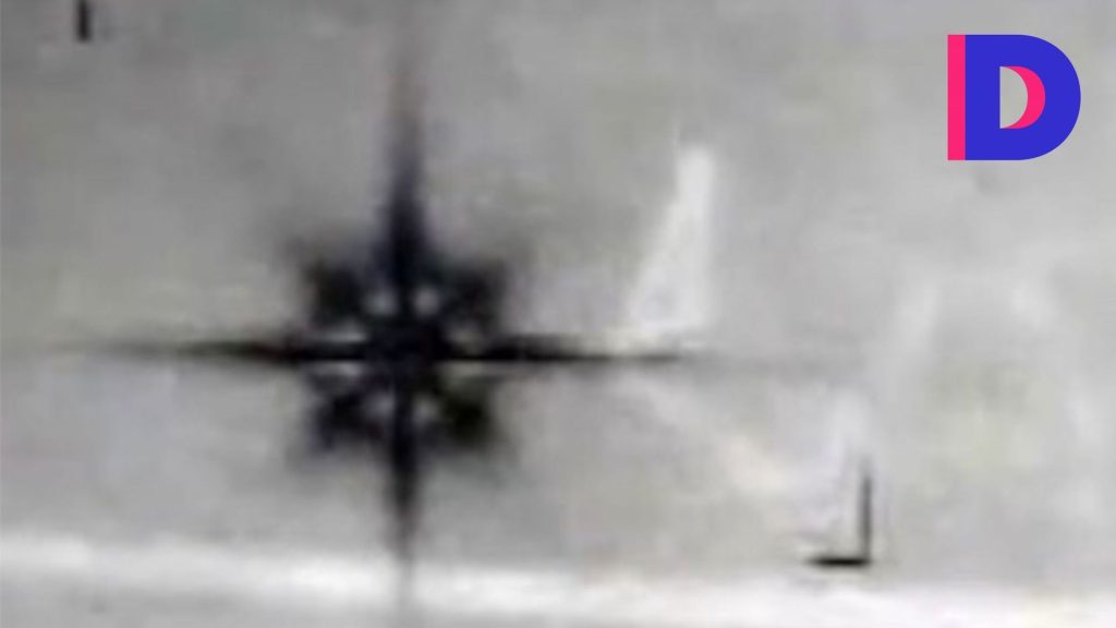 Quatre types d’extraterrestres identifiés sur Terre, selon des informations de Fox News.