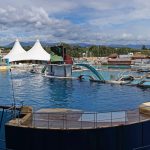 Antibes : Le ministre de la Transition écologique visite Marineland ce vendredi.