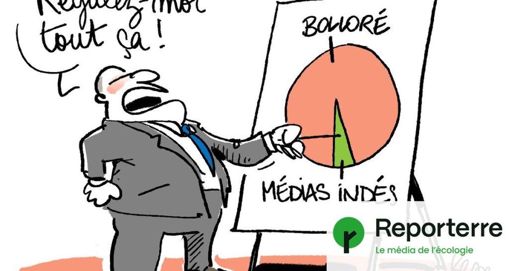 Le Sénat français restreint le travail des médias indépendants, ignorent Vincent Bolloré.