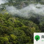 Déforestation en Amazonie atteint son niveau le plus bas depuis 2019, selon les données officielles.