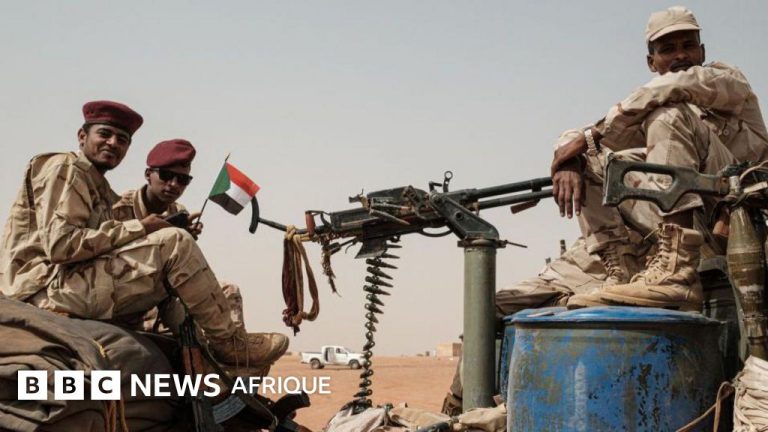 Les Émirats arabes unis accusés de recruter des mercenaires colombiens pour le Soudan