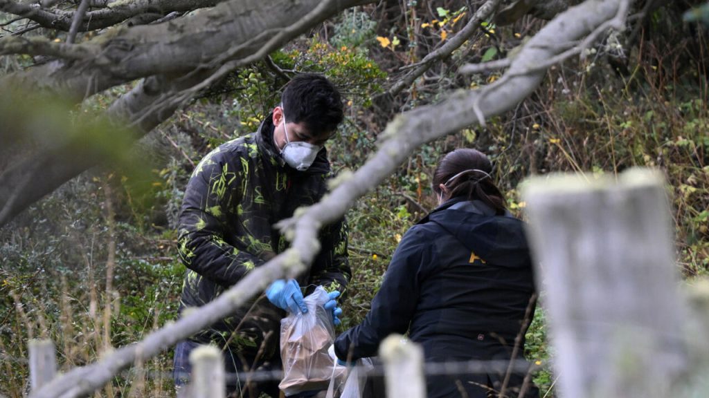 Hantavirus : 150 rongeurs capturés à Ushuaïa, analyses en cours