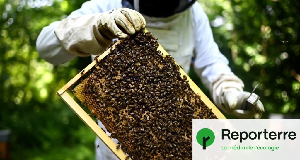 Agroindustrie : la mise au travail des abeilles soulève des questions éthiques.
