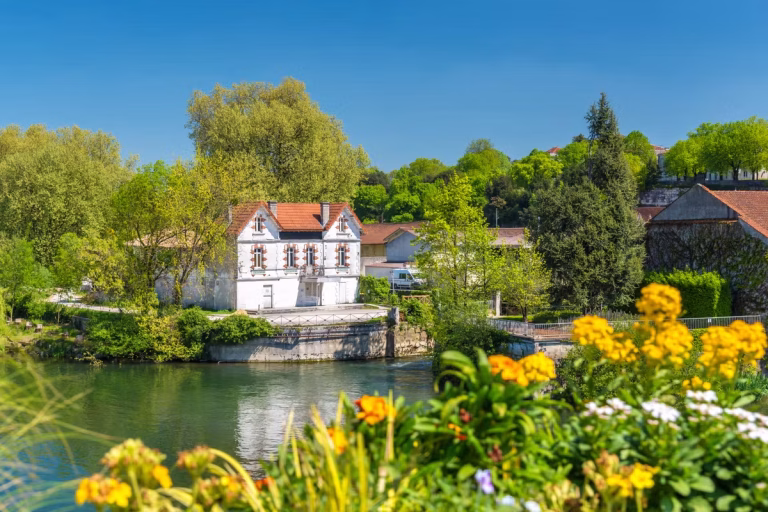 Balade fluviale sur la Charente : une expérience de découverte des paysages locaux.