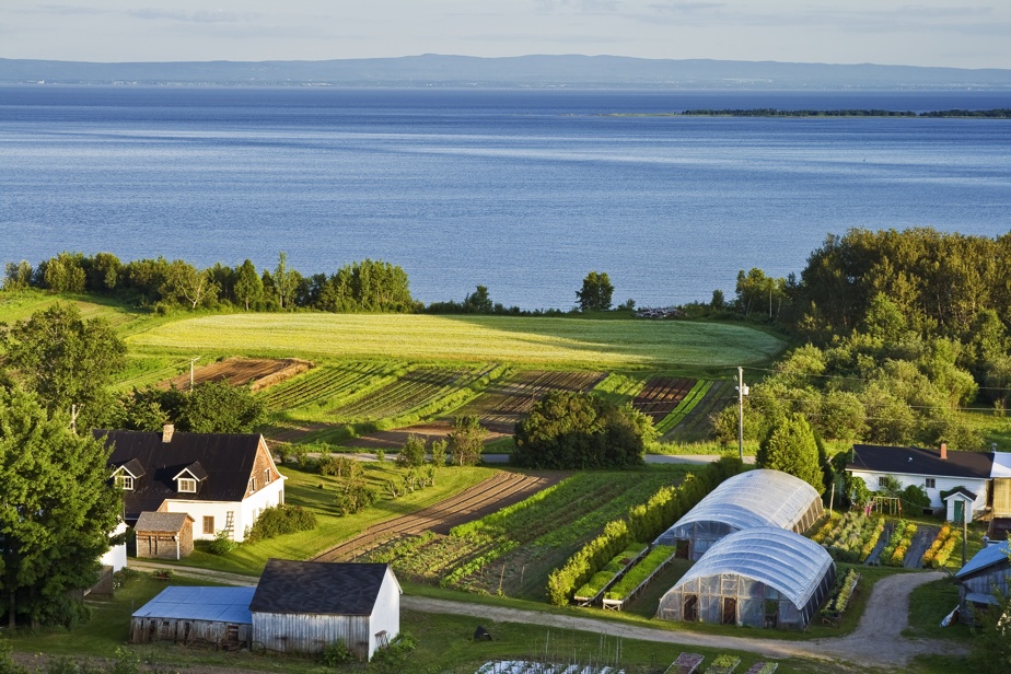 La Route des Saveurs préserve les traditions culinaires de Charlevoix.