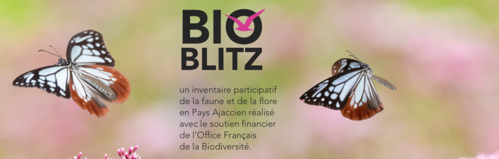 Bioblitz en Pays Ajaccien : appel aux habitants pour un inventaire de la biodiversité