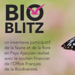 Bioblitz en Pays Ajaccien : appel aux habitants pour un inventaire de la biodiversité