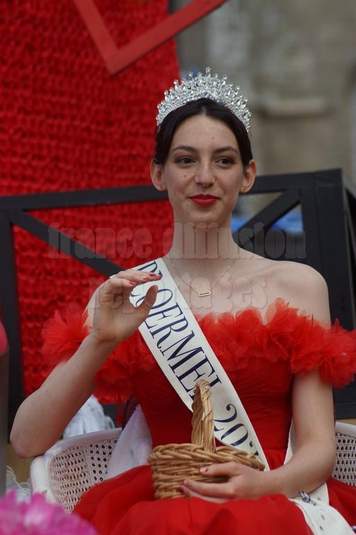 Images du Carnaval de Ploërmel 2026 : un aperçu des festivités en Bretagne