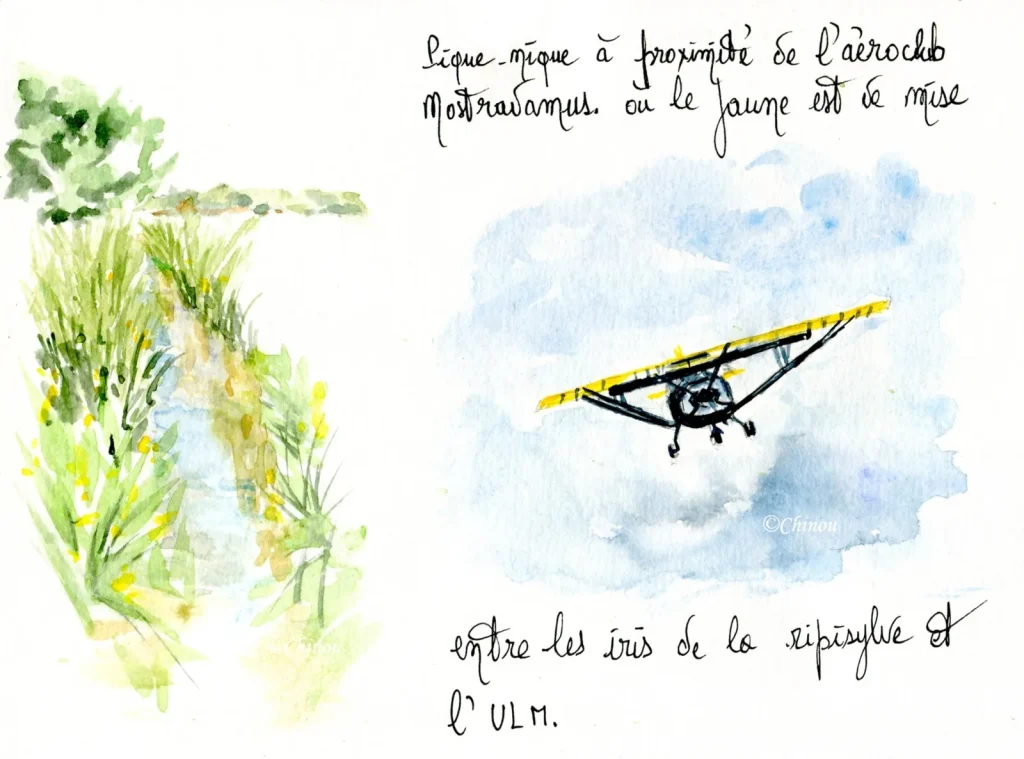 Escapade en Provence : Carnets de voyage et peintures de Chinou exposés au public.