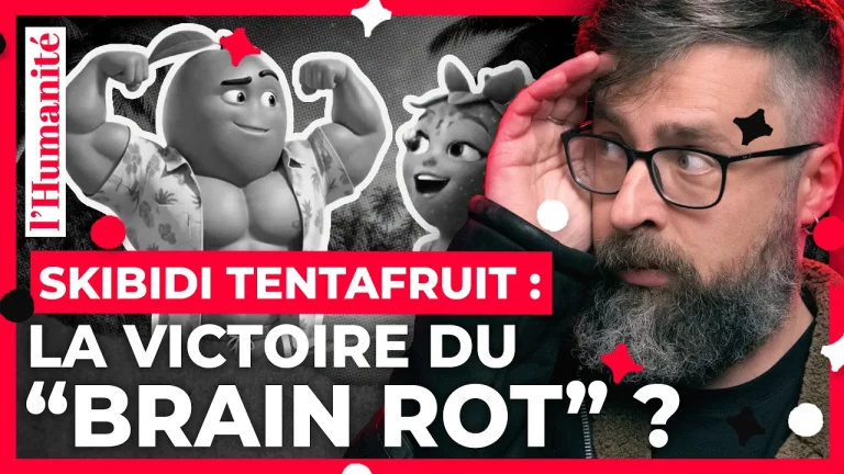 SKIBIDI TENTAFRUIT : Analyse des préoccupations sociétales en France sur la culture numérique
