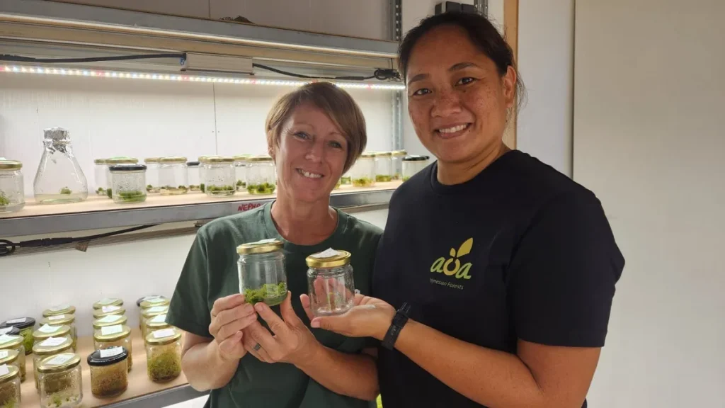 Aoa Polynesian Forests lance un laboratoire pour préserver les plantes endémiques en Polynésie.